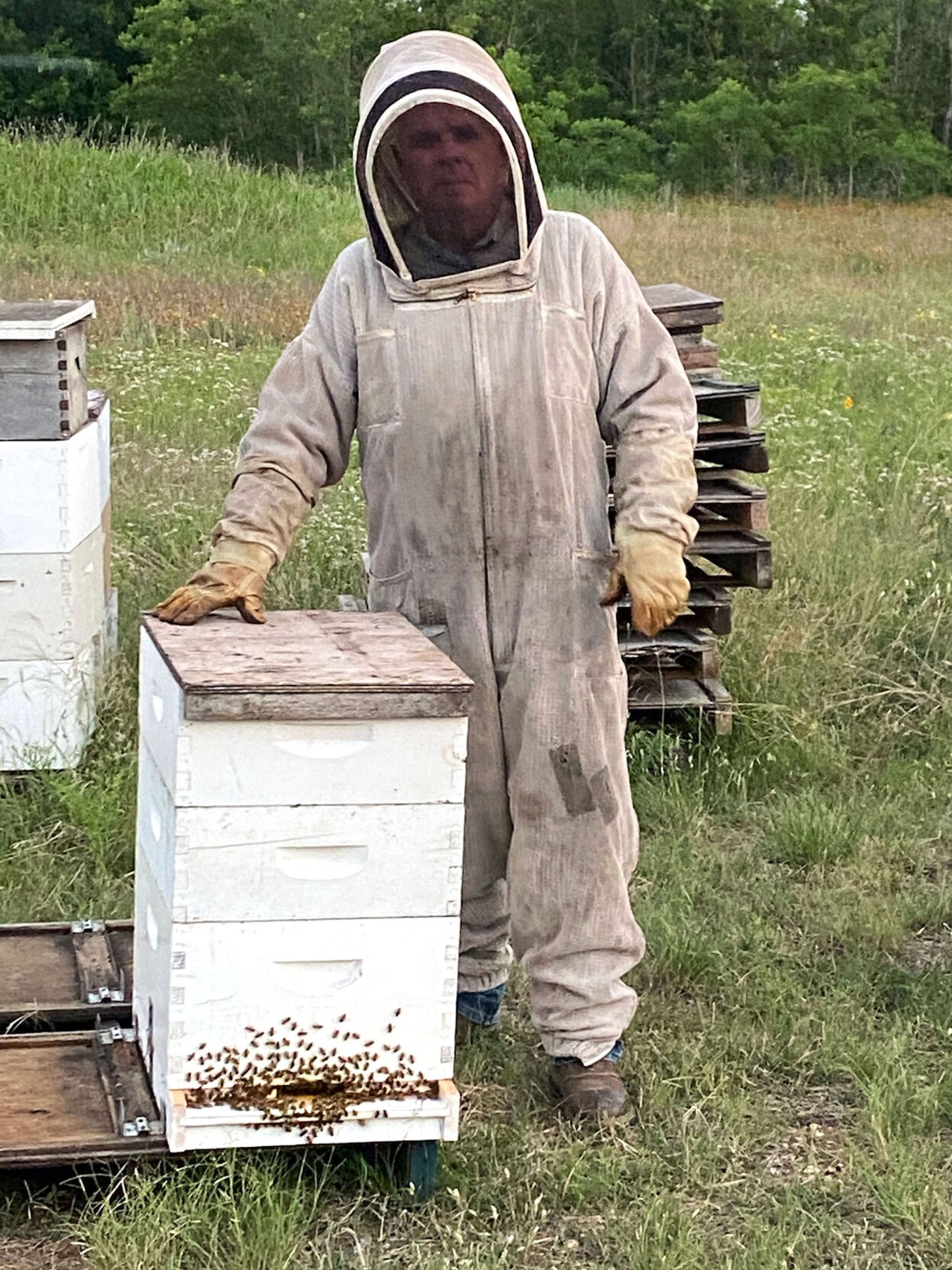 Beecheck.jpg